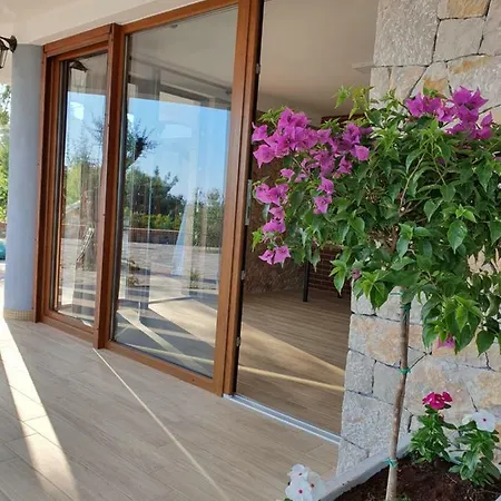 Vila Elezi Shëngjin